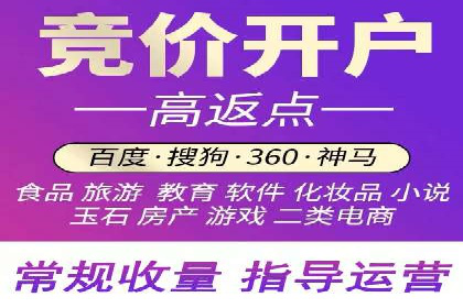 某电商平台信息流广告的精准推广策略
